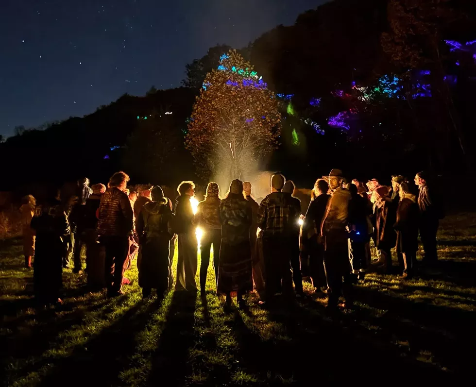 A scene from Whispering Wood captured during previews