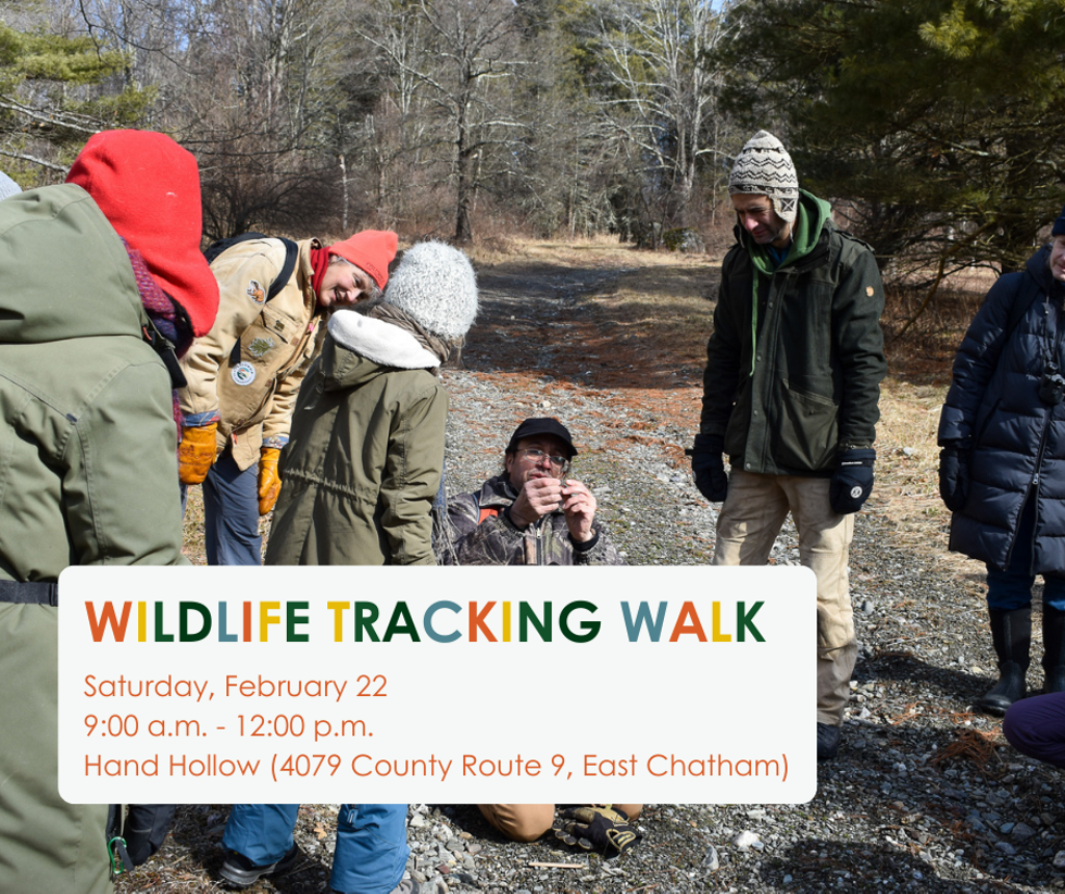 A group of people looking at an object being held up by the walk guide. The text says WIldlife Tracking Walk Saturday, February 22 9:00 a.m. - 12:00 p.m. Hand Hollow (4079 County Route 9, East Chatham)