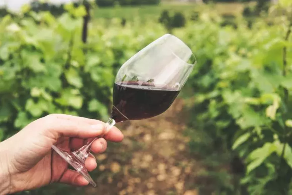 americanwine-2.webp