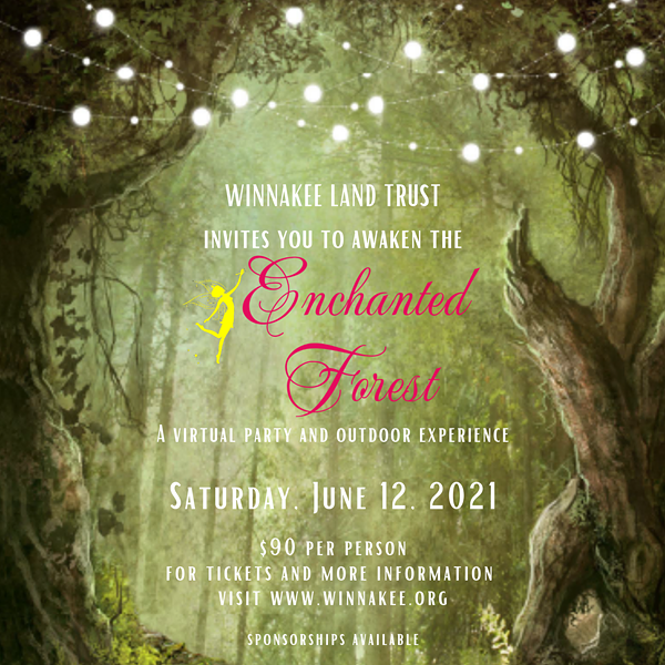 Winnakee Virtual Party: Discover the Enchanted Forest