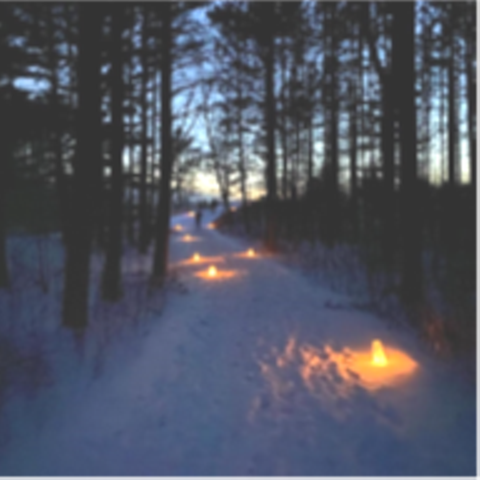 lake_t-winter_walk.png