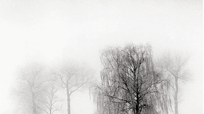 Image: "Winter Salon"