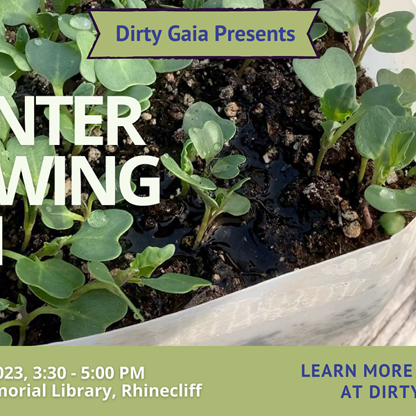 Winter Sowing 101