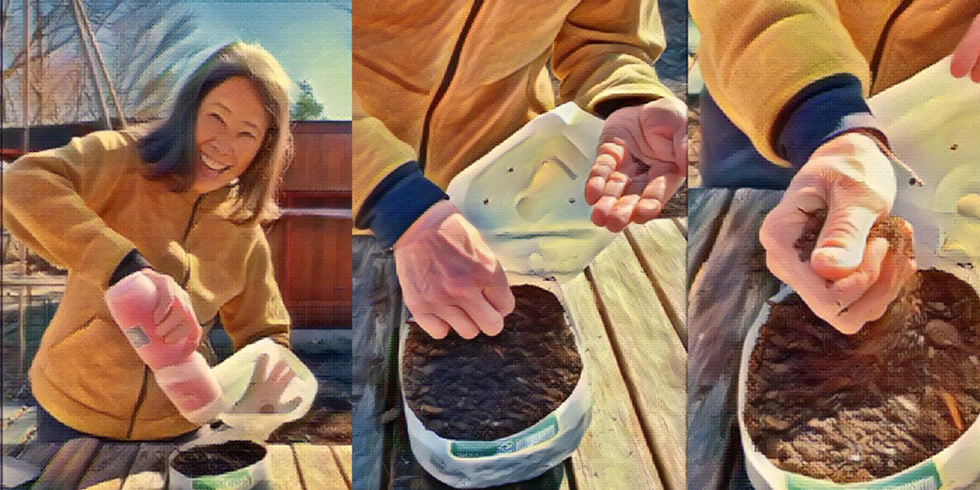 Winter Sowing