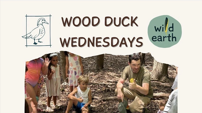 Image: Wood Duck Wednesdays with Wild Earth
