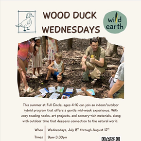 Image: Wood Duck Wednesdays with Wild Earth