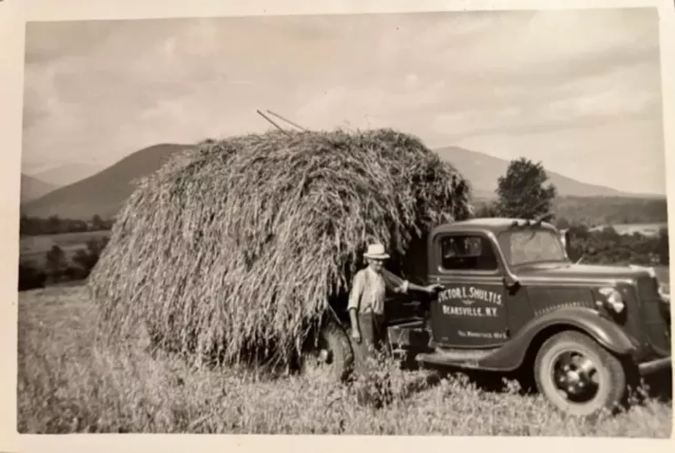 Haying in Bearsville