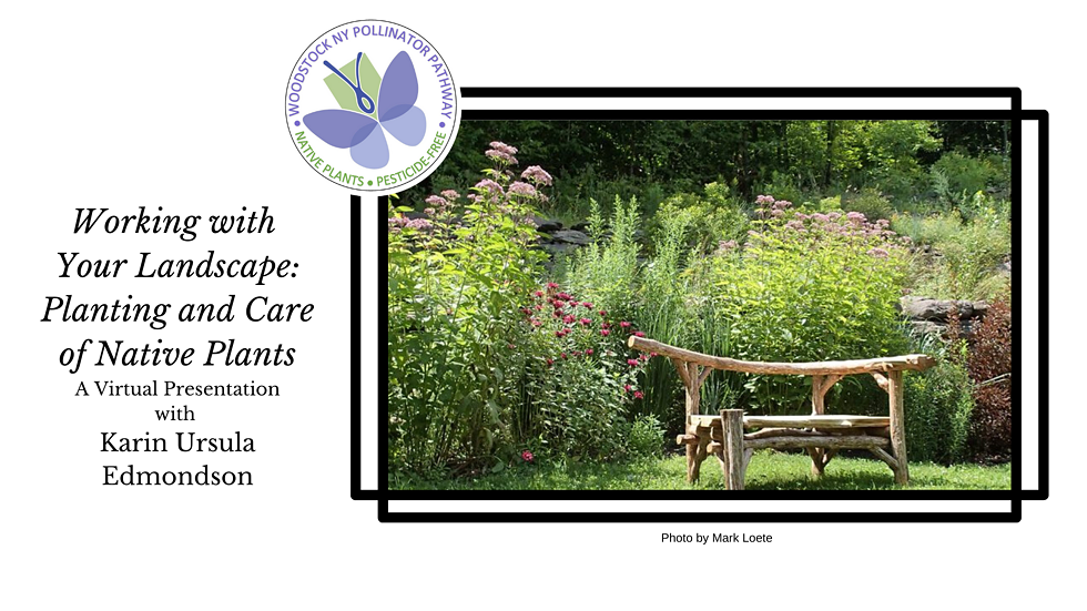 wpp_july_webinar_fb_event_cover.png